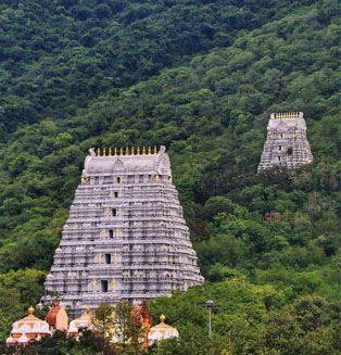 Tirumala Temple Pickup and Drop